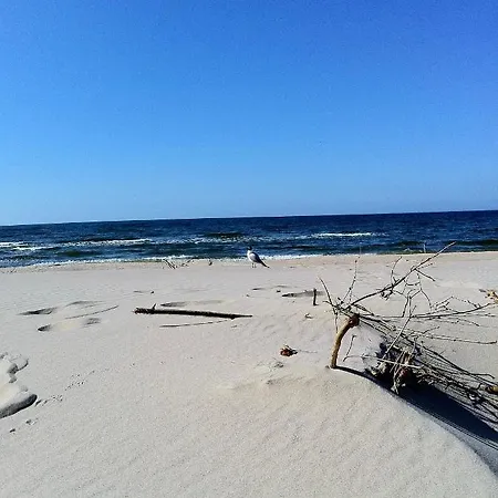 J.a.c.k.e.s. Łukęcin