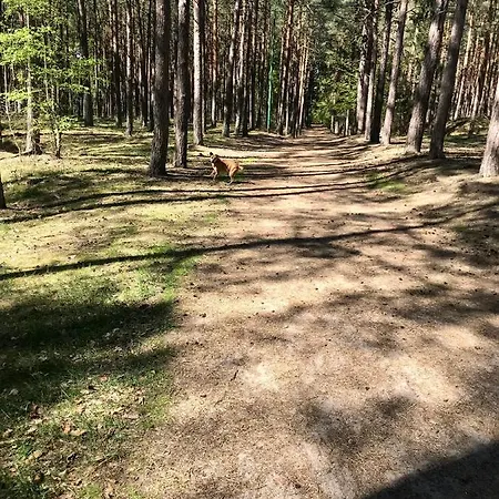 J.a.c.k.e.s. شقة *