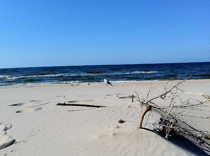 J.a.c.k.e.s. Łukęcin