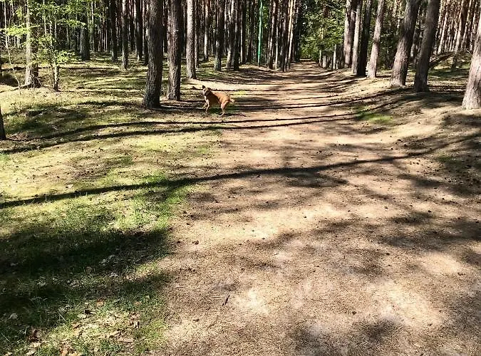 J.a.c.k.e.s. Apartamento *